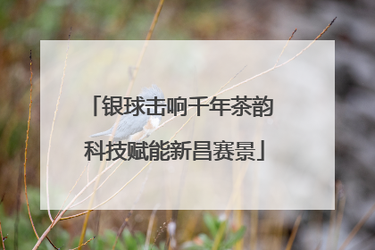 银球击响千年茶韵 科技赋能新昌赛景