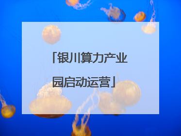 银川算力产业园启动运营