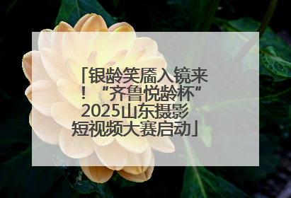 银龄笑靥入镜来！“齐鲁悦龄杯”2025山东摄影短视频大赛启动