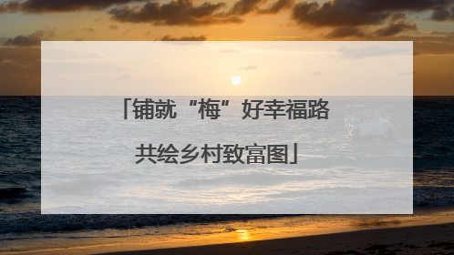 铺就“梅”好幸福路 共绘乡村致富图