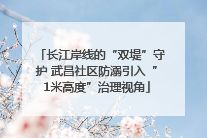 长江岸线的“双堤”守护 武昌社区防溺引入“1米高度”治理视角