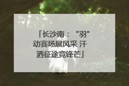 长沙南：“羽”动赛场展风采 汗洒征途竞锋芒