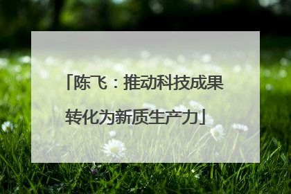 陈飞：推动科技成果转化为新质生产力