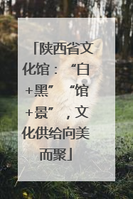 陕西省文化馆：“白+黑”“馆+景”，文化供给向美而聚