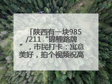 陕西有一块985/211“锦鲤路牌”，市民打卡：寓意美好，拍个视频祝高考生金榜题名
