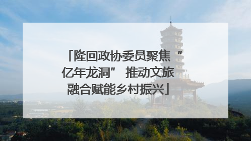 隆回政协委员聚焦“亿年龙洞” 推动文旅融合赋能乡村振兴