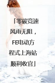零碳竞速风雨无阻，FE电动方程式上海站顺利收官