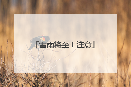 雷雨将至！注意