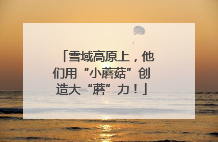 雪域高原上，他们用“小蘑菇”创造大“蘑”力！