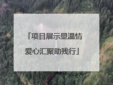 项目展示显温情 爱心汇聚助残行