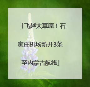 飞越大草原！石家庄机场新开3条至内蒙古航线
