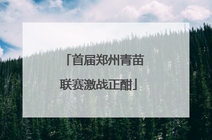 首届郑州青苗联赛激战正酣