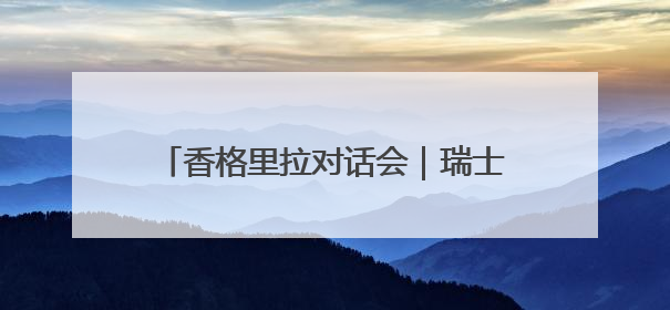 香格里拉对话会｜瑞士媒体人：美国施压盟友“极不理性” 欧洲国家无意与中国“脱钩断链”