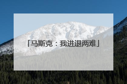 马斯克：我进退两难