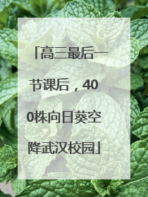 高三最后一节课后，400株向日葵空降武汉校园