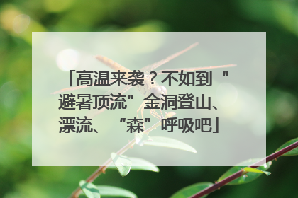 高温来袭？不如到“避暑顶流”金洞登山、漂流、“森”呼吸吧