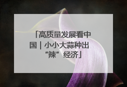 高质量发展看中国｜小小大蒜种出“辣”经济