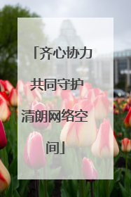 齐心协力 共同守护清朗网络空间