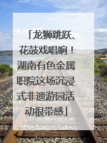 龙狮跳跃、花鼓戏唱响！湖南有色金属职院这场沉浸式非遗游园活动很带感