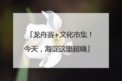 龙舟赛+文化市集！今天，海淀这里超嗨