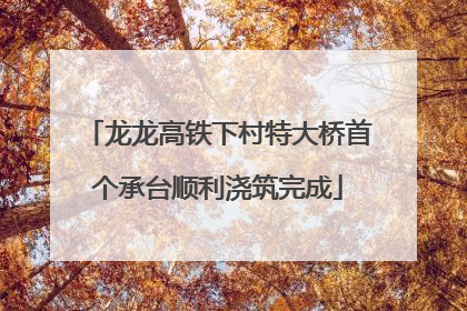 龙龙高铁下村特大桥首个承台顺利浇筑完成