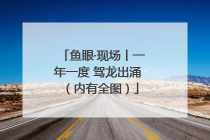 鱼眼·现场丨一年一度 驾龙出涌（内有全图）