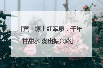黄土塬上红军泉：千年甘甜水 浇出振兴路