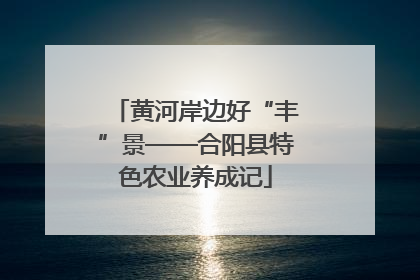 黄河岸边好“丰”景——合阳县特色农业养成记
