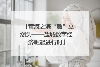 黄海之滨“数”立潮头——盐城数字经济崛起进行时