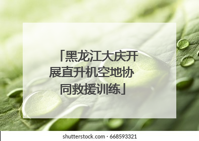 黑龙江大庆开展直升机空地协同救援训练