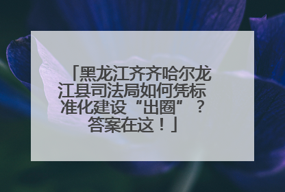 黑龙江齐齐哈尔龙江县司法局如何凭标准化建设“出圈”？答案在这！