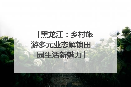 黑龙江：乡村旅游多元业态解锁田园生活新魅力