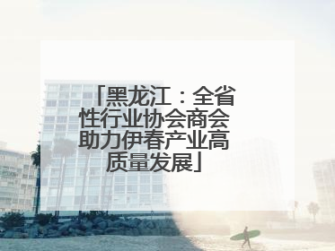 黑龙江：全省性行业协会商会助力伊春产业高质量发展