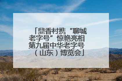 鼎香村携“聊城老字号”惊艳亮相第九届中华老字号（山东）博览会