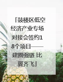 鼓楼区低空经济产业专场对接会签约18个项目——建圈强链 比翼齐飞