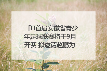 ﻿首届安徽省青少年足球联赛将于9月开赛 拟邀请赵鹏为先导赛开球