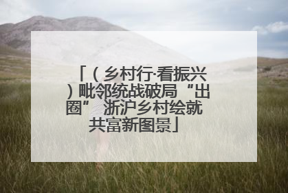 （乡村行·看振兴）毗邻统战破局“出圈” 浙沪乡村绘就共富新图景