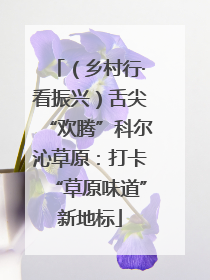 （乡村行·看振兴）舌尖“欢腾”科尔沁草原：打卡“草原味道”新地标