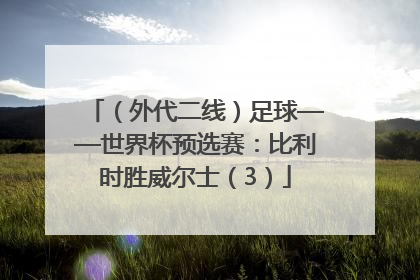 （外代二线）足球——世界杯预选赛：比利时胜威尔士（3）