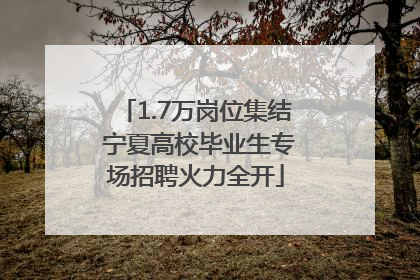 1.7万岗位集结 宁夏高校毕业生专场招聘火力全开