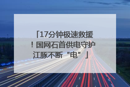 17分钟极速救援！国网石首供电守护江豚不断“电”