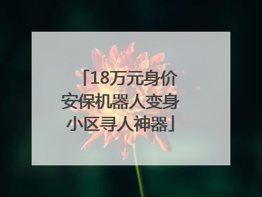 18万元身价安保机器人变身小区寻人神器
