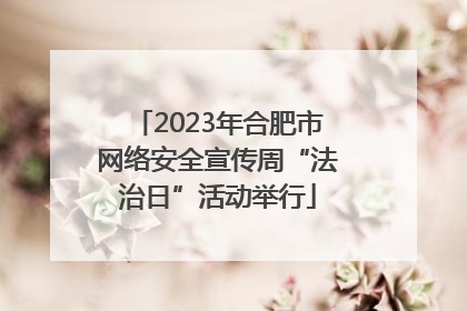 2023年合肥市网络安全宣传周“法治日”活动举行