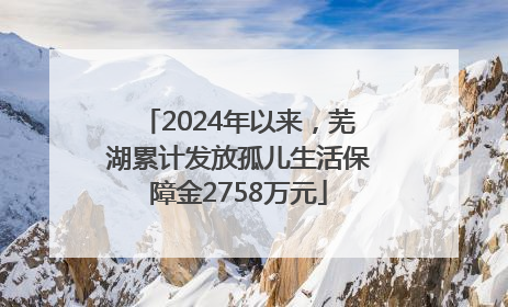 2024年以来，芜湖累计发放孤儿生活保障金2758万元