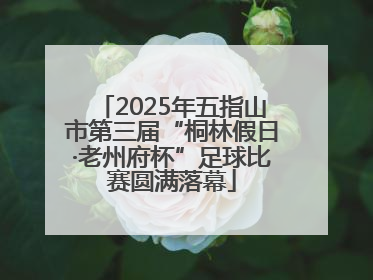 2025年五指山市第三届“桐林假日·老州府杯”足球比赛圆满落幕
