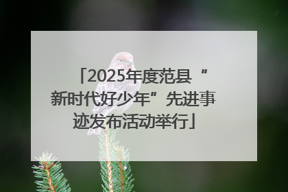 2025年度范县“新时代好少年”先进事迹发布活动举行