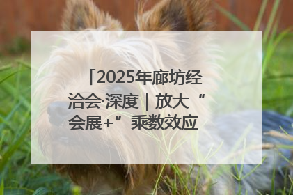 2025年廊坊经洽会·深度｜放大“会展+”乘数效应 打造消费新场景