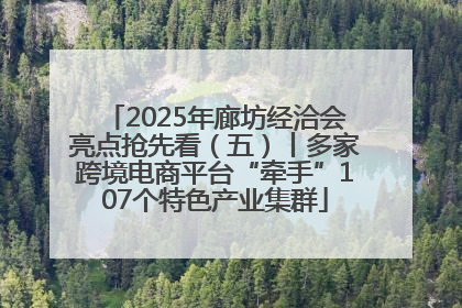 2025年廊坊经洽会亮点抢先看（五）丨多家跨境电商平台“牵手”107个特色产业集群