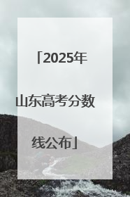 2025年山东高考分数线公布