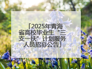 2025年青海省高校毕业生“三支一扶”计划服务人员招募公告